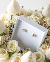 Classic Stud Earrings Hampers