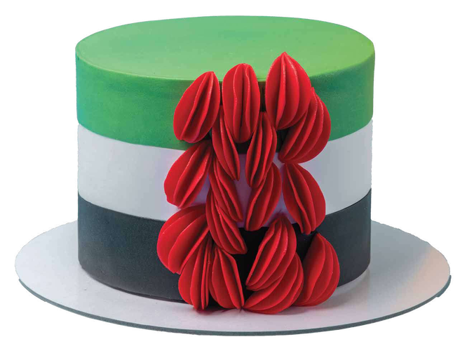 Origami fold UAE flag cake