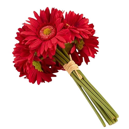 Elegant Gerbera Bunch