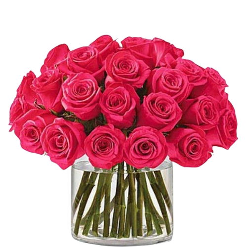 Whispering Roses