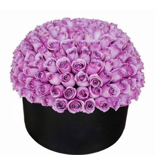 XXL Lavender Box