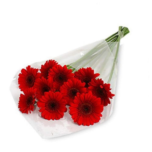 11 Red Gerbera Bunch