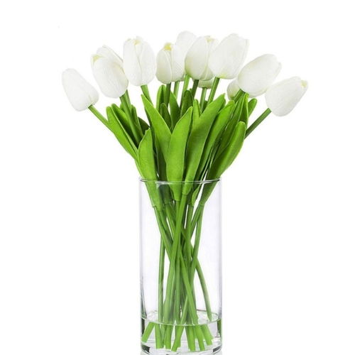 15 Beauty in Vase