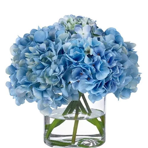 Blue Hydrangea Vase