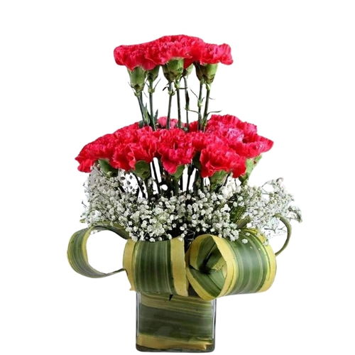Twist & Bloom