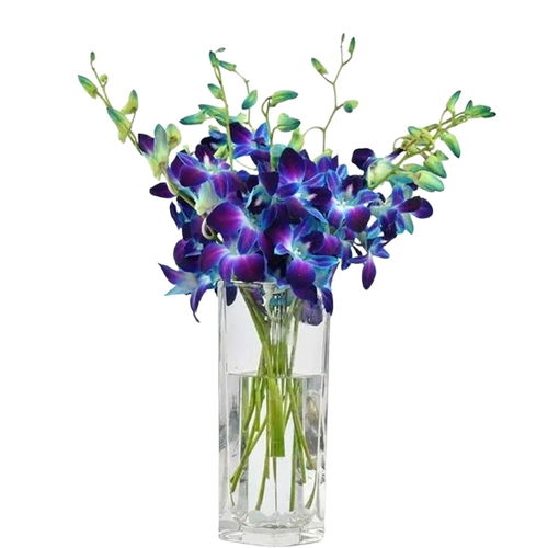Royal Beauty Vase