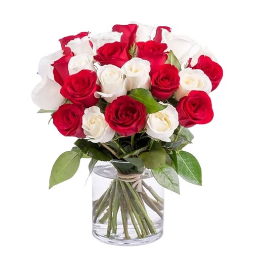 31 Red and White Rose Vase