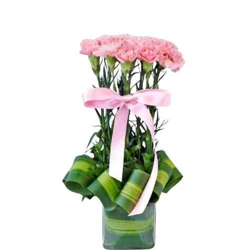 Pink Carnation Vase