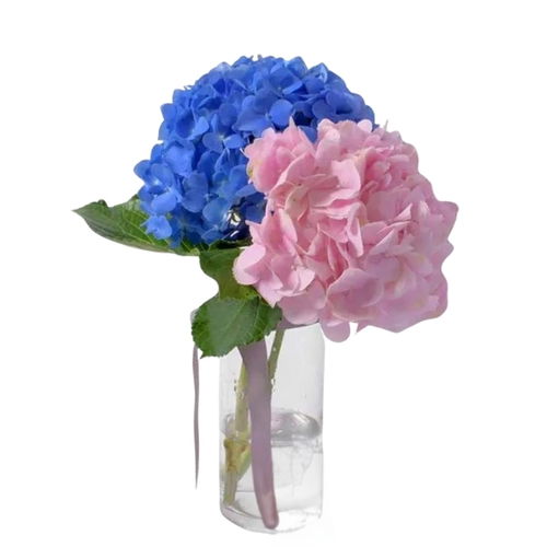 Blue and Pinky Vase
