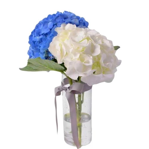 White Beauty and Blue Vase