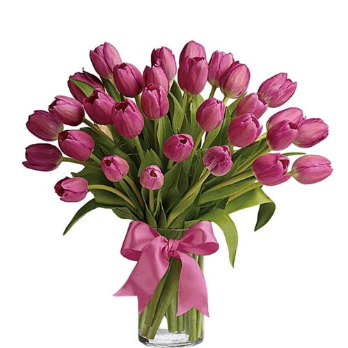 29 Pink Tulip Vase