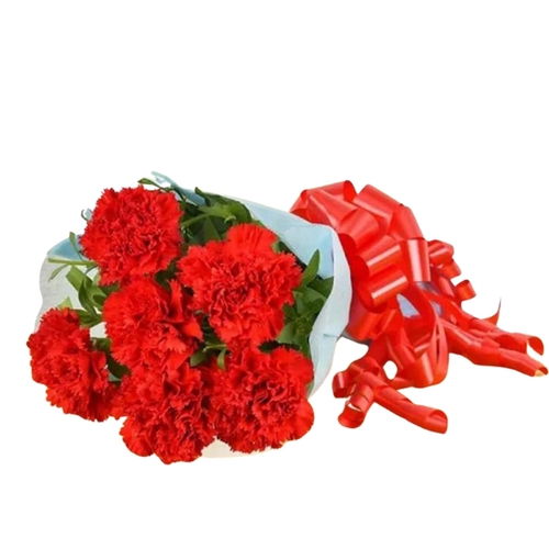Carnation Bouquet