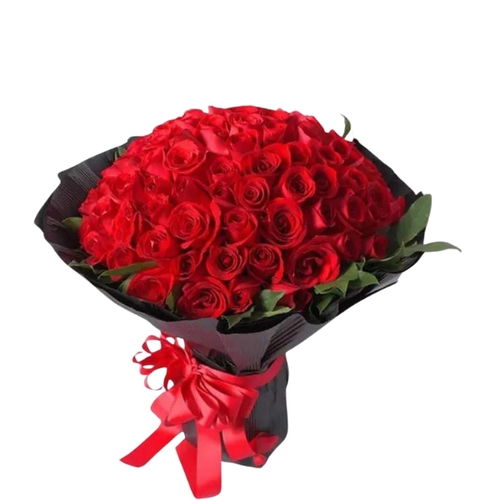 Happy Bloom Day