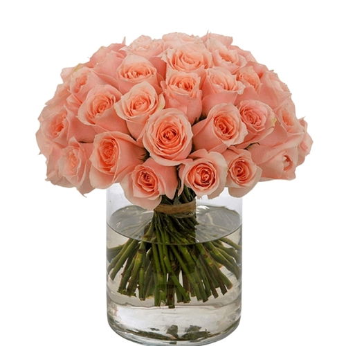 31 Peach Roses