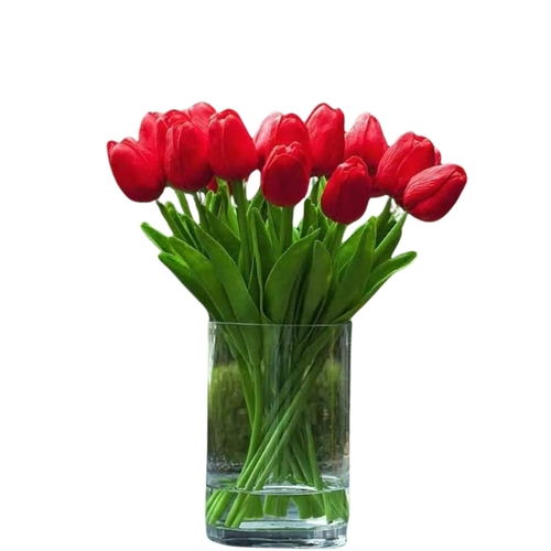 21 Red Tulip Vase
