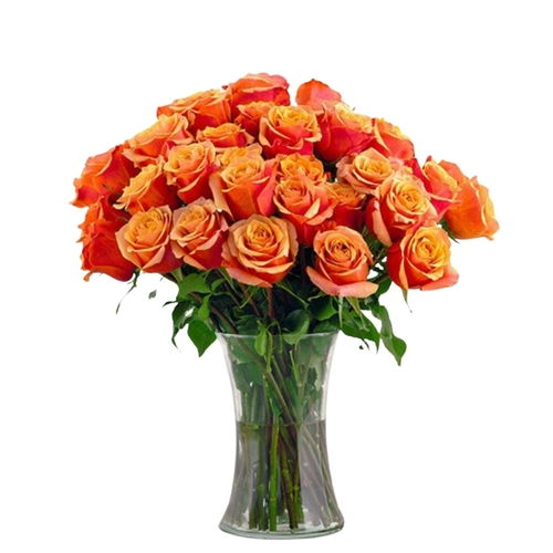 24 Orange Roses Vase