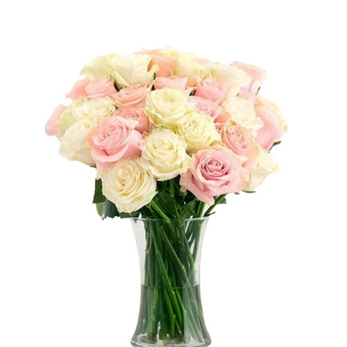 24 Pastel Vase