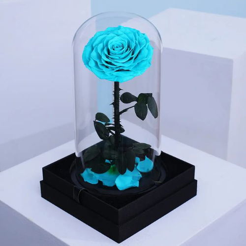 Tiffany Dream