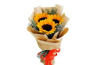 Sunflower With Brown & Jute