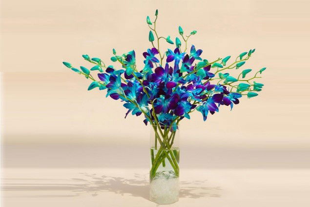 Blue Orchid Cylinder