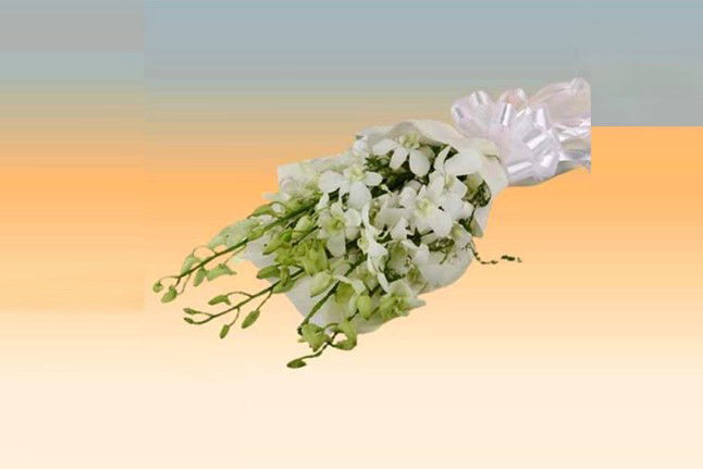 White Orchids with Wrapping