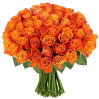 100 Orange Rose