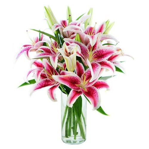 Pink Lilies With Vase