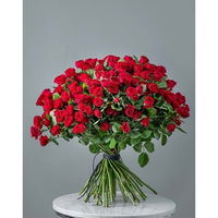 50 Stems Spray Roses - Fuchsia