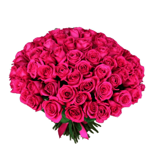 2 Dozen Dark Pink Rose