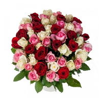 100 Red, White & Pink Roses