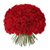 100 Red Roses