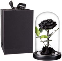 1 Black Rose